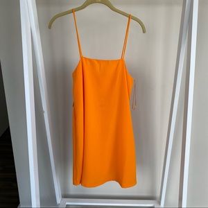 NWT Zara Dress
